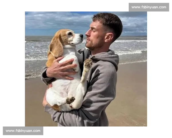 拉姆塞悬赏万美金寻犬 Halo,三周搜寻仍盼归期 拉姆塞悬赏万美金寻犬 Halo,三周搜寻仍盼归期